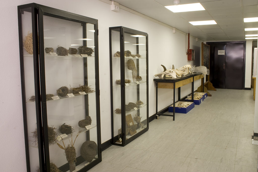 UCM - Museo de Anatomía Comparada de Vertebrados