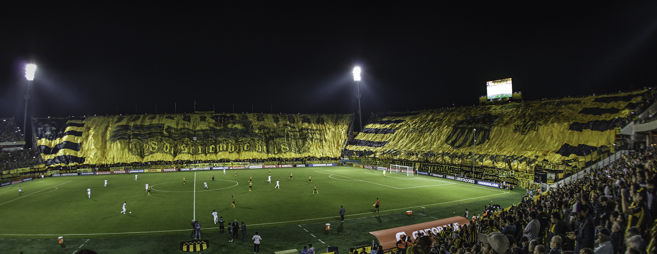 futbol-bandera-libertadores copia