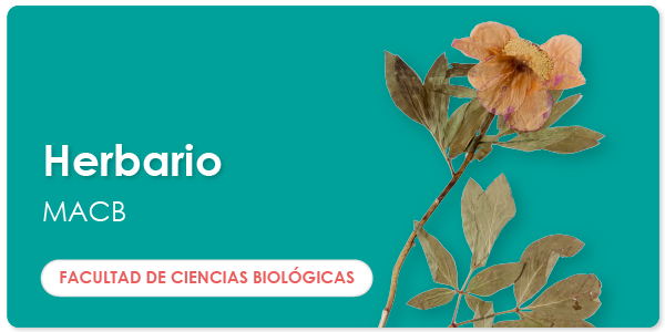 web_ugph_banners_ciencias_herbariomacb_600x300_es