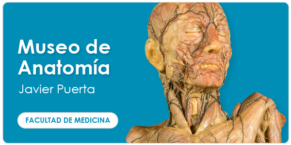 web_ugph_banners_cienciassalud_javierpuerta_600x300_es