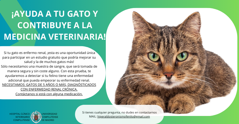 Estudio sobre el Hiperaldosteronismo