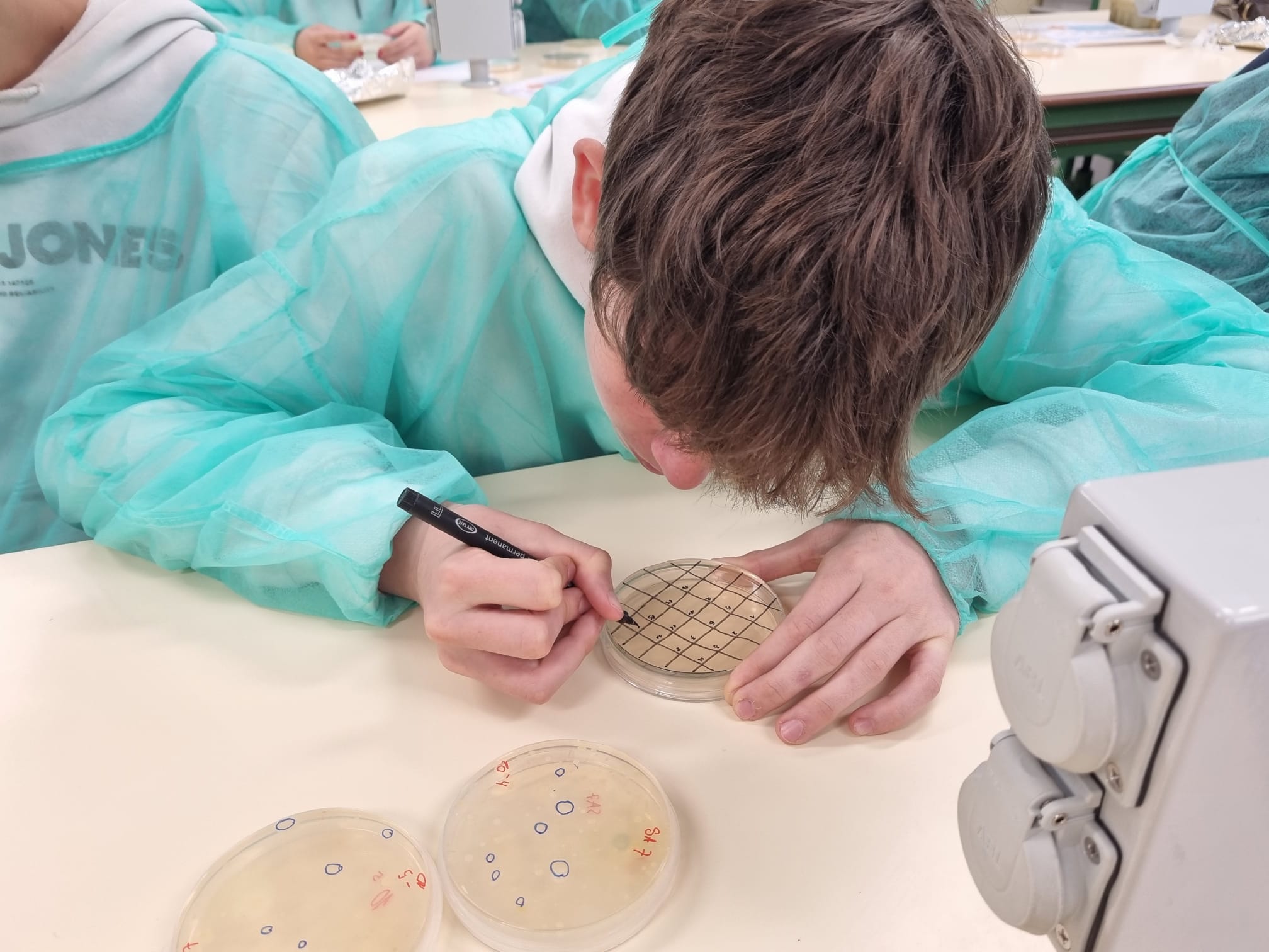 MicroMundo celebra una década involucrando a jóvenes en la búsqueda de nuevos antibióticos en el suelo