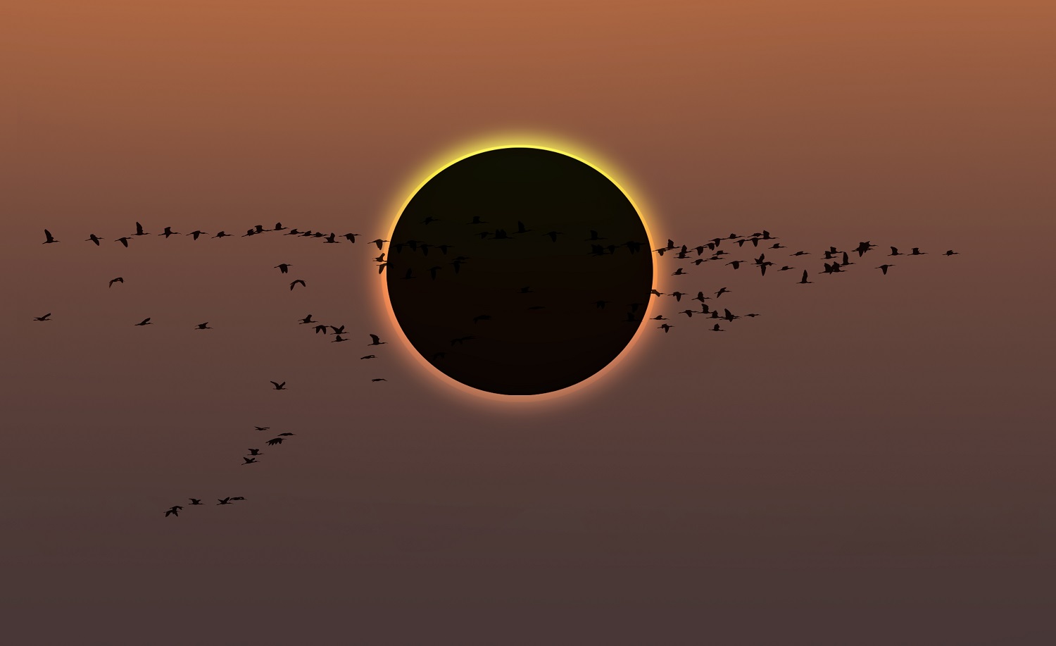 Cuando el día se convierte en noche: ¿qué les ocurre a los animales durante un eclipse solar?