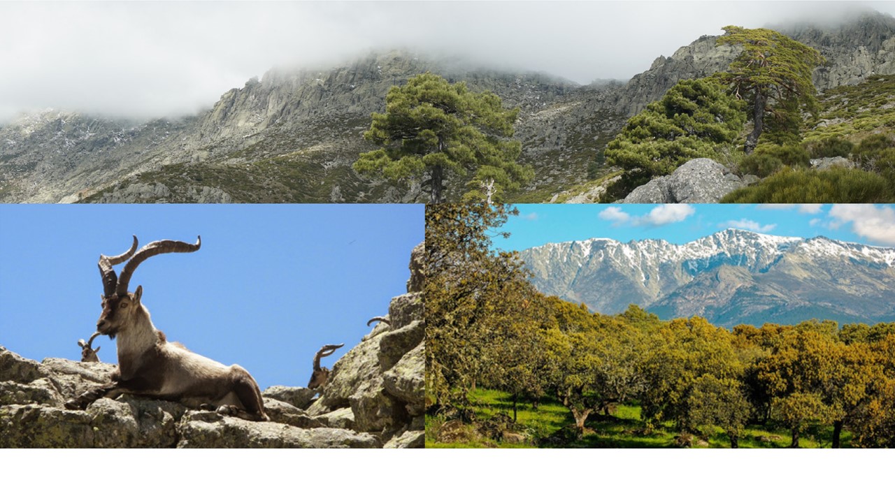 I Congreso de Historia, Naturaleza y Tradiciones de la Sierra de Gredos