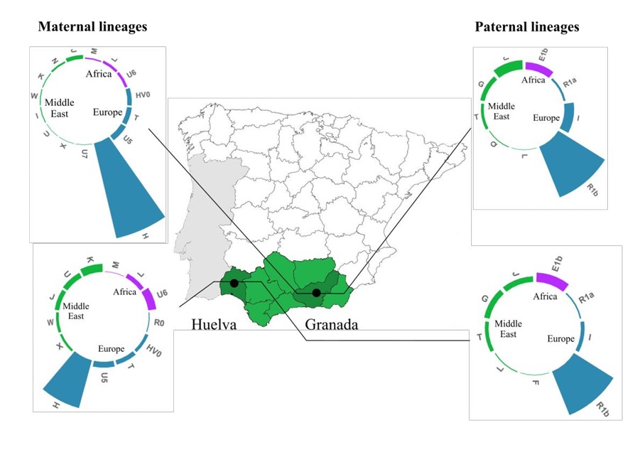 Publicaciones recientes de la Unidad Docente