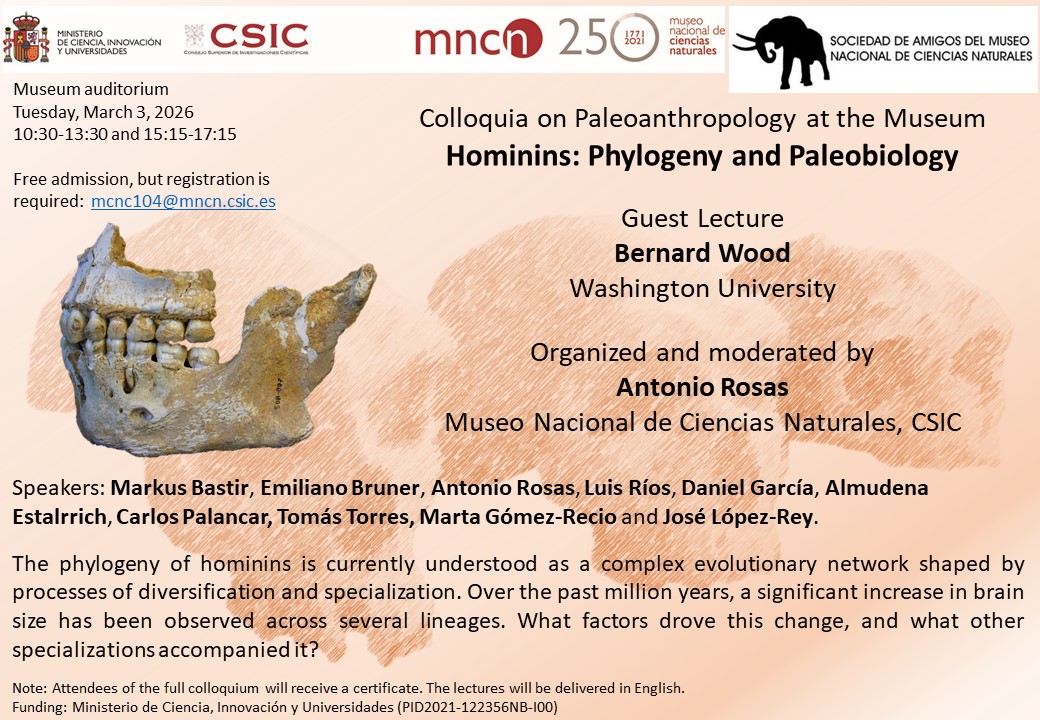 Coloquio "Homininos: filogenia y paleobiología" (3 marzo)