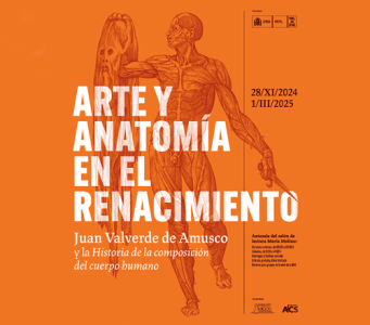 Arte y Anatomía en el Renacimiento. Juan Valverde de Amusco y la Historia de la composición del cuerpo humano