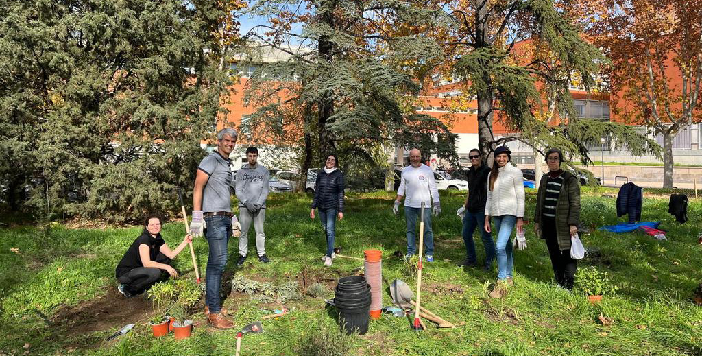 Acción del Voluntariado Ambiental Complutense en los Corredores Verdes Urbanos, la iniciativa que busca mejorar la conectividad entre los espacios verdes de la UCM