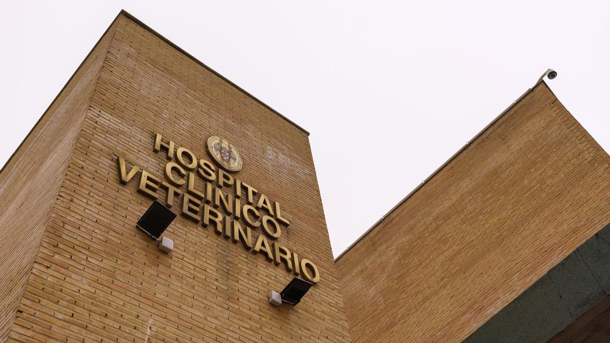 El HCVC presenta su modelo de referencia ante la Comisión de Digitalización, Infraestructuras y Agenda 2030