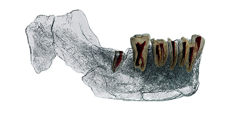 La revista Science publica el hallazgo de neandertales arcaicos en el Yacimiento de Nesher Ramla (Israel)