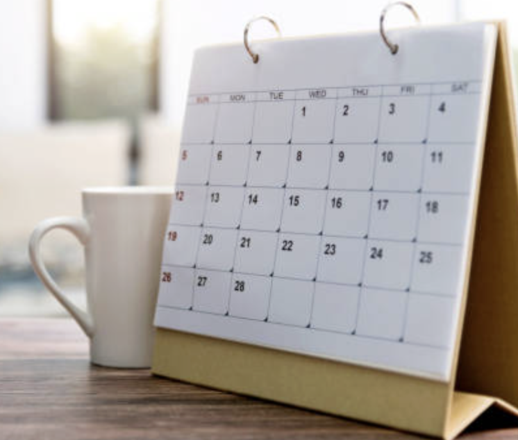 Calendario de Actividades - Activity Calendar