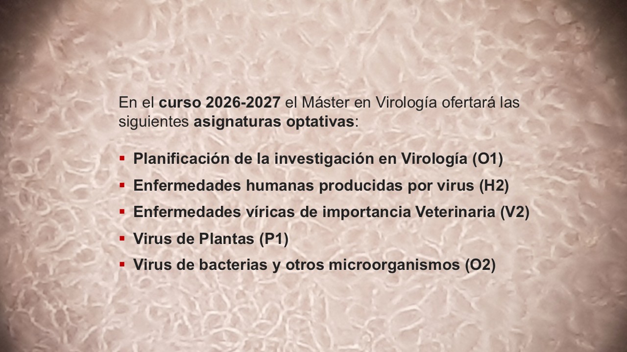ASIGNATURAS OPTATIVAS QUE SE IMPARTIRÁN EN EL CURSO 2026-2027