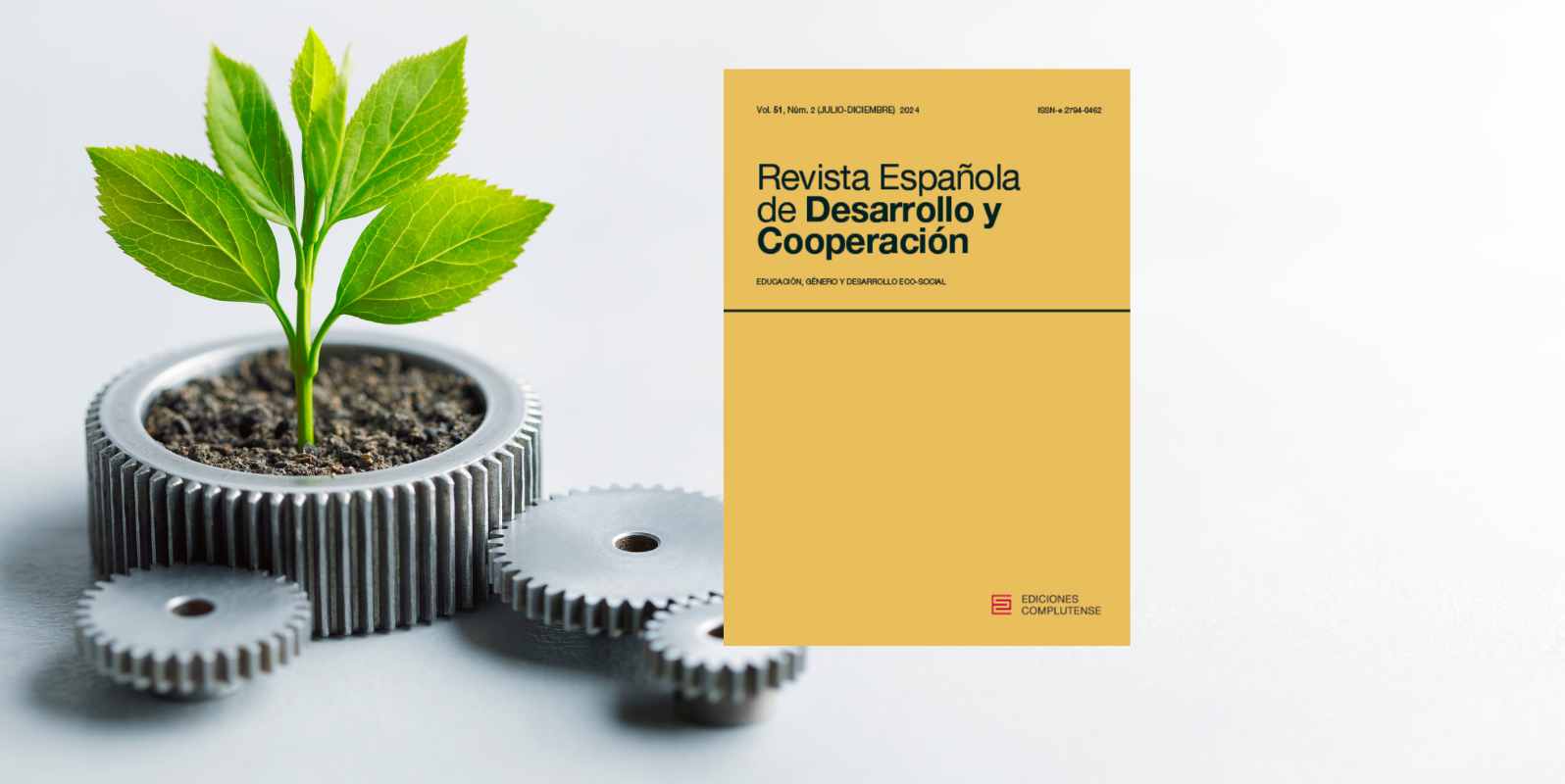 Revista Española de Desarrollo y Cooperación