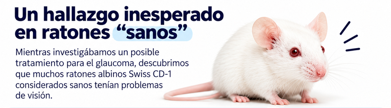 Spontaneous Achromatopsia-Like Phenotype in Albino Swiss CD-1 Mice: Retinocortical Dysfunction, Neurovascular Remodeling, and Glial Activation