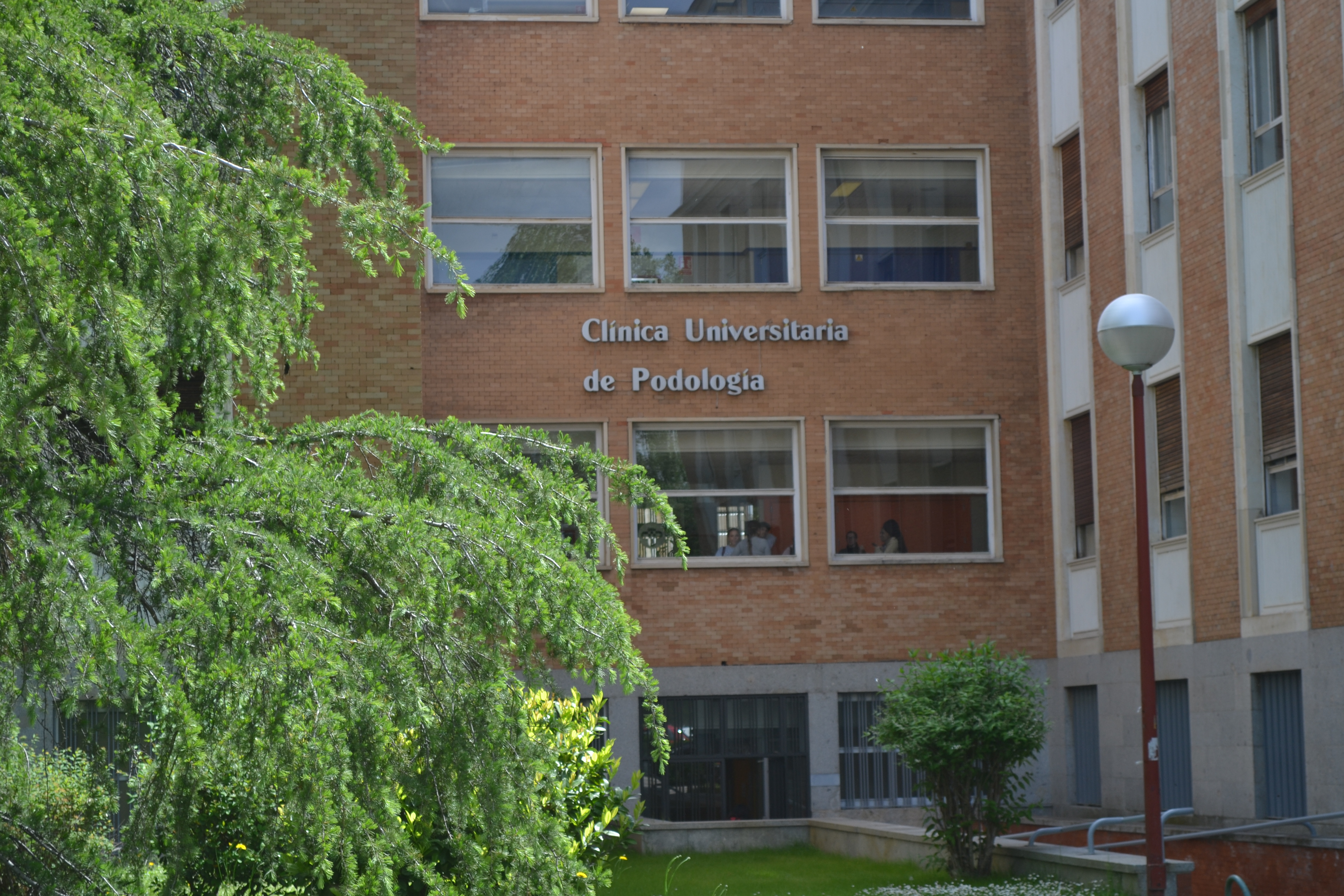 Bienvenido a la web de la Clínica Universitaria de Podología