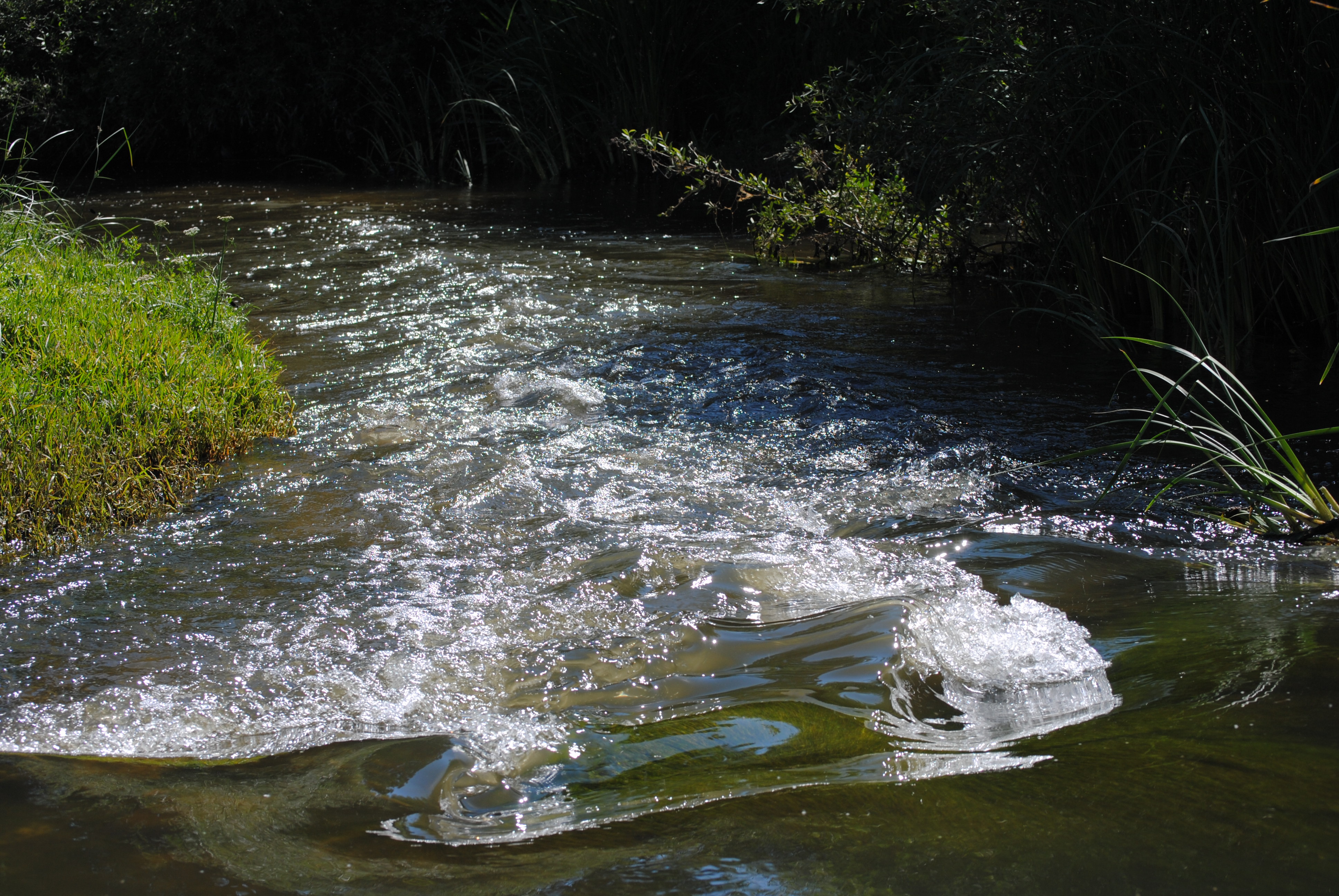 foto Río Guadarrama