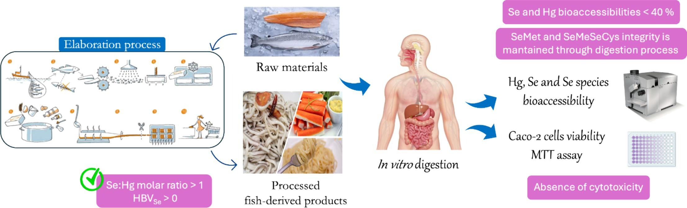 articulo tamara food research