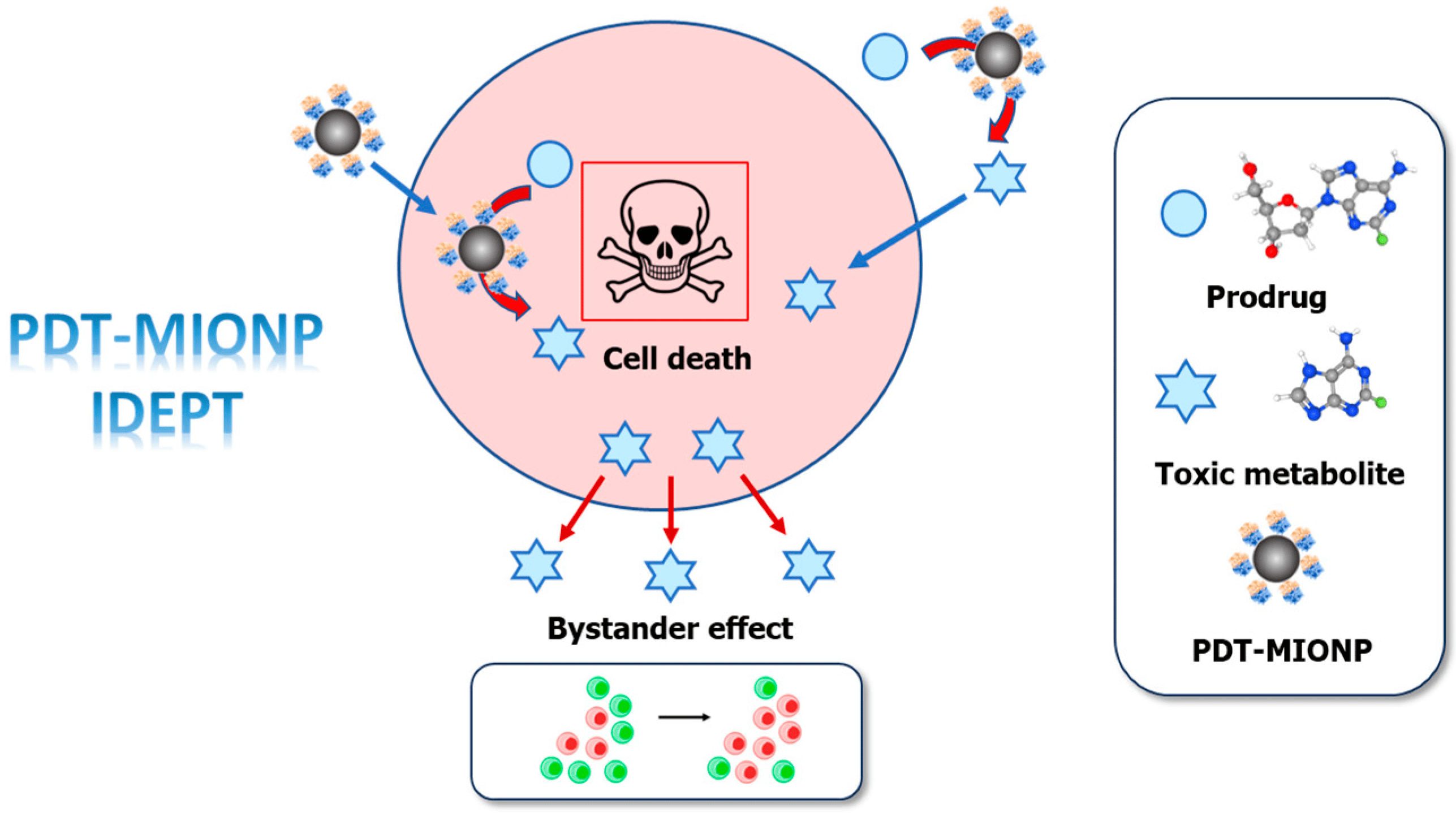 biomolecules-14-00894-g001