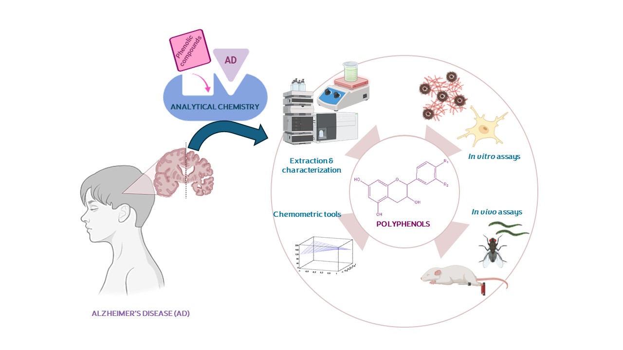 graphical abstract International Journal of Molecular Sciences 2024