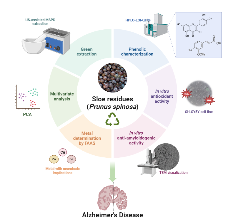 graphical abstract esther food chem