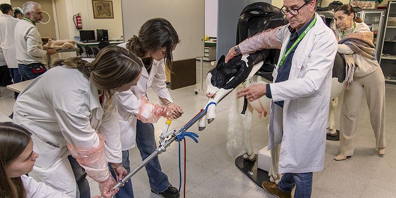 Veterinaria incorpora simuladores de última generación en la formación práctica de sus estudiantes