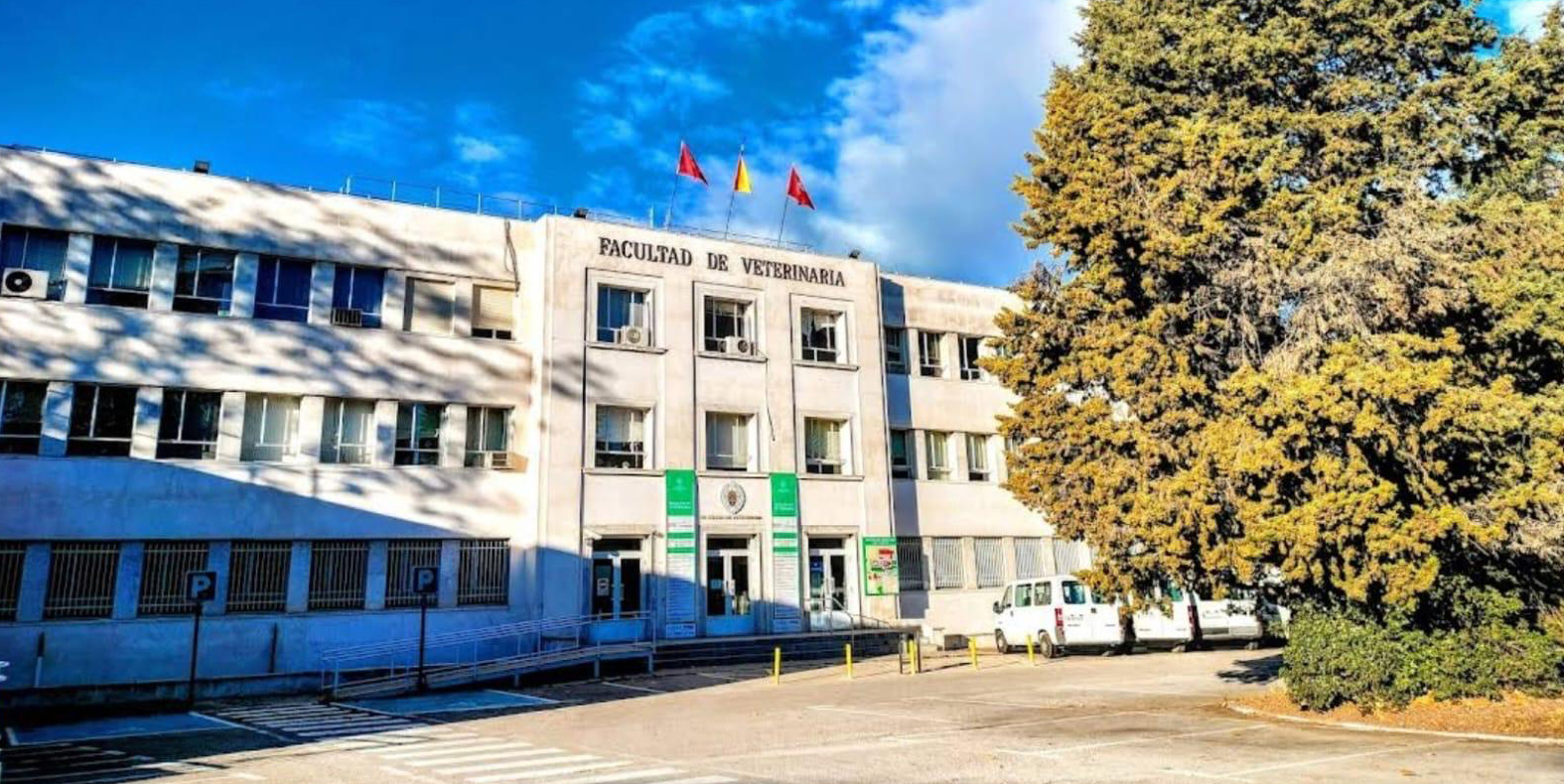 Veterinaria (puesto 39), Matemáticas y Odontología (76), entre las 100 mejores materias de la Complutense en el Shanghai Ranking GRAS 2024