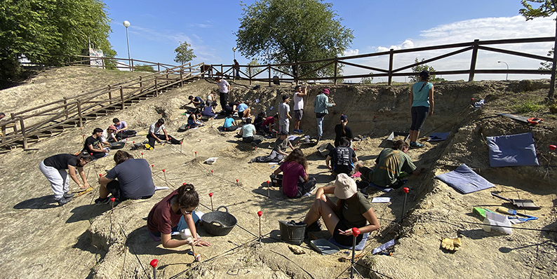 Jornadas de puertas abiertas en los Yacimientos Paleontológicos de Somosaguas, dias 13 y 14 de septiembre