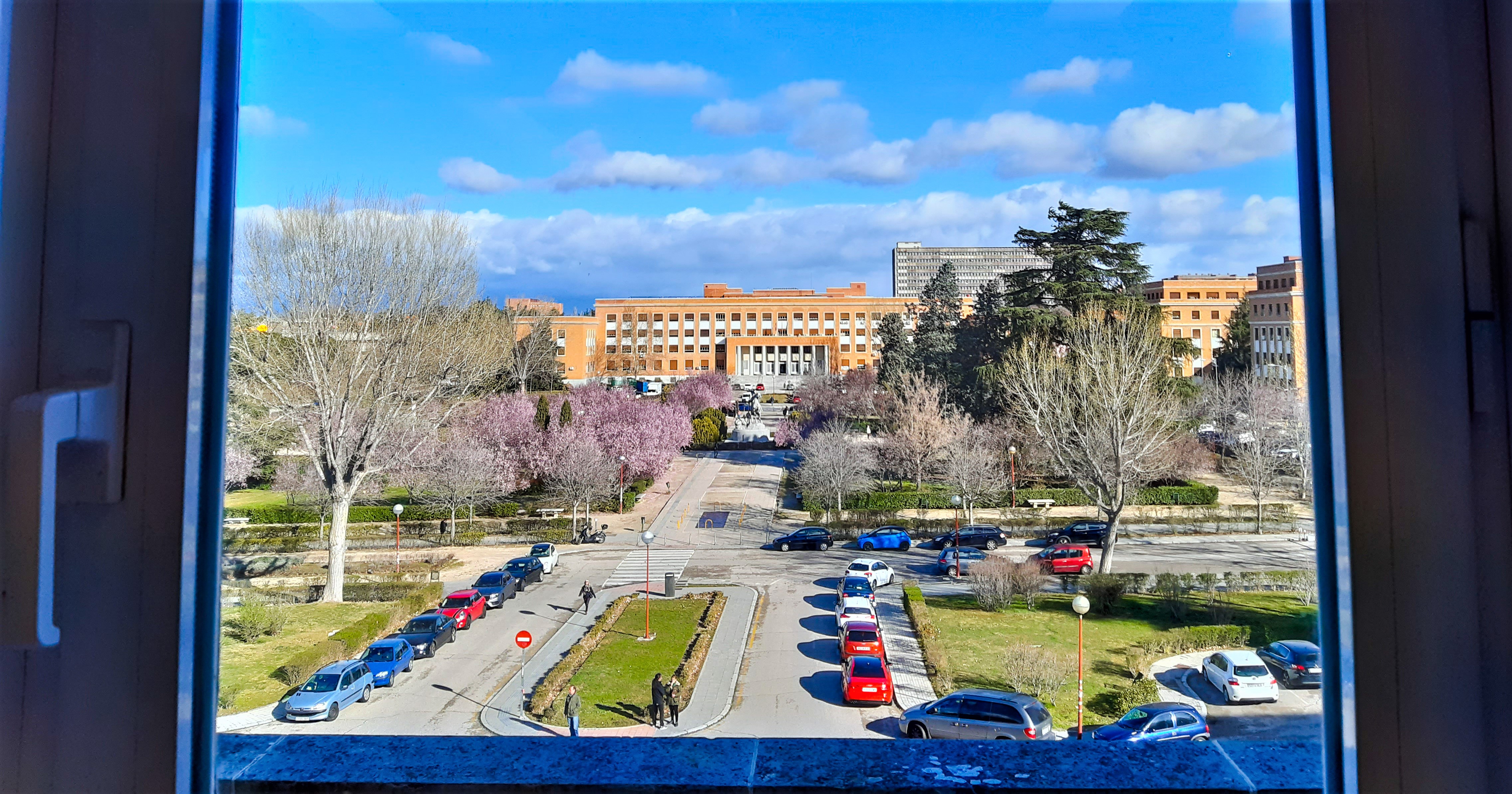 view from the dental school, madrid.