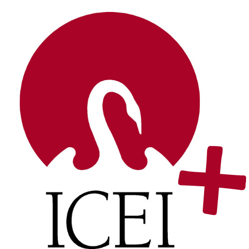 Logo icei+