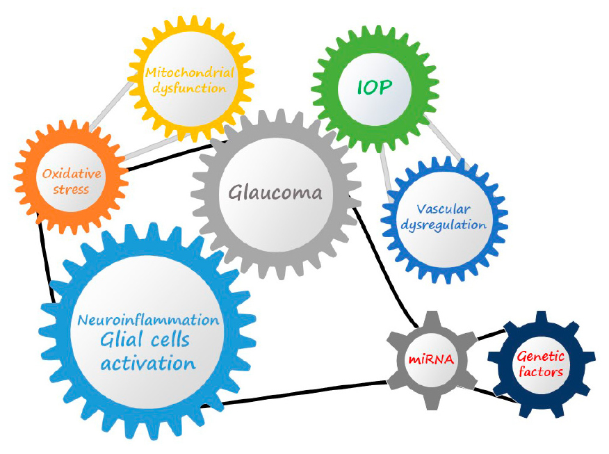 Glaucoma: from pathogenic mechanisms to retinal glial cell response to damage