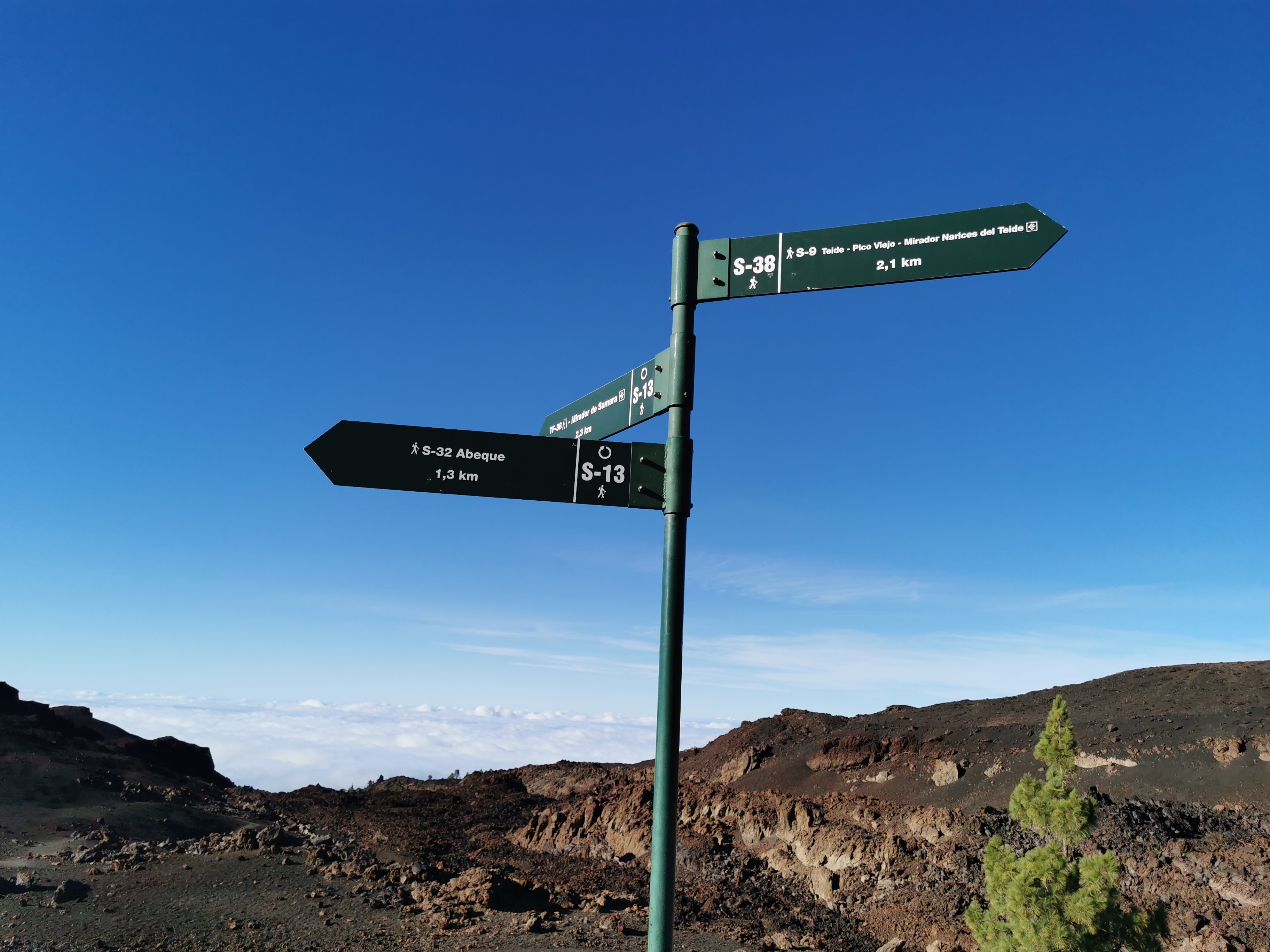 pico viejo teide (2)