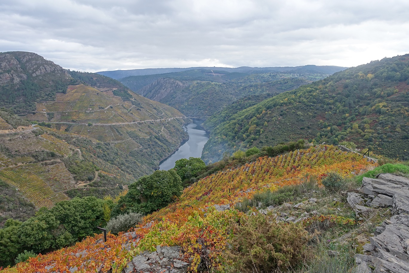 sil, ribeira sacra-p