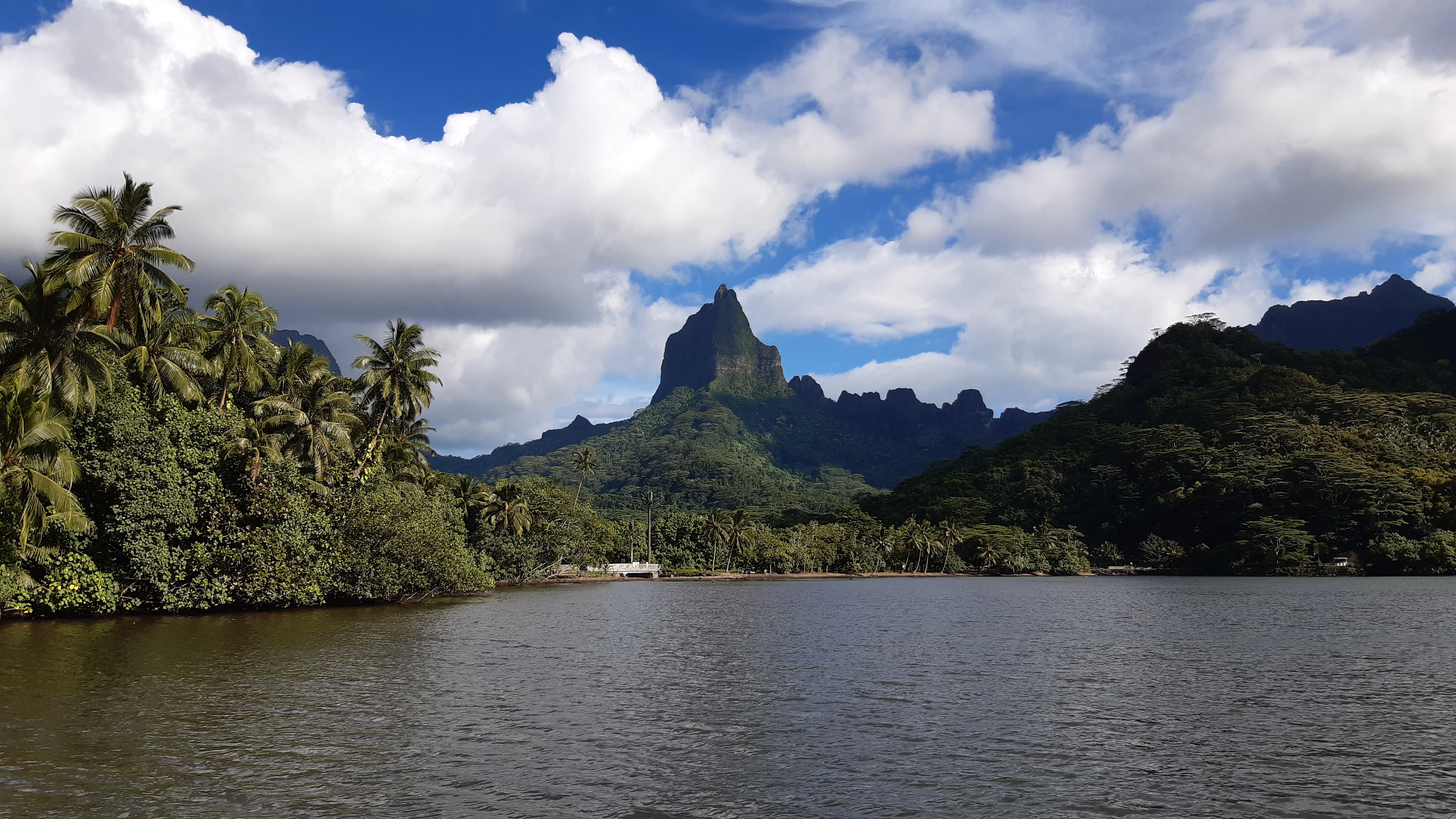 Moorea, una isla del Pacífico Sur que forma parte del archipiélago de la Sociedad, en la Polinesia Francesa, ha formado parte del estudio. / Cornelia Sattler.