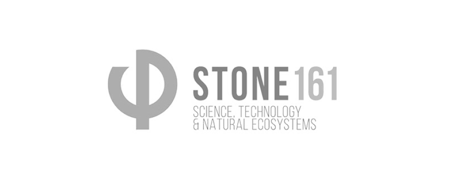 stone 161 bn