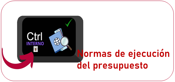 Normas de ejecución del presupuesto