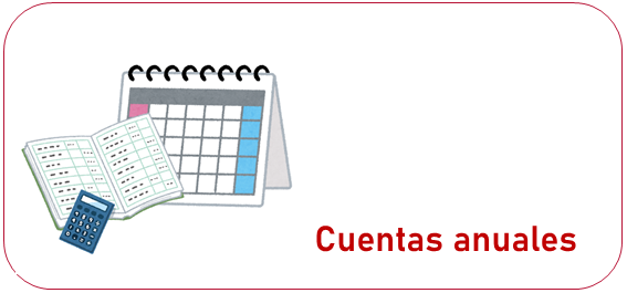 Cuentas anuales