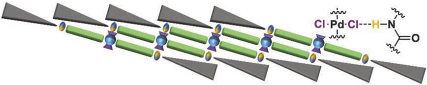 6.macromolecular_graphical abstract